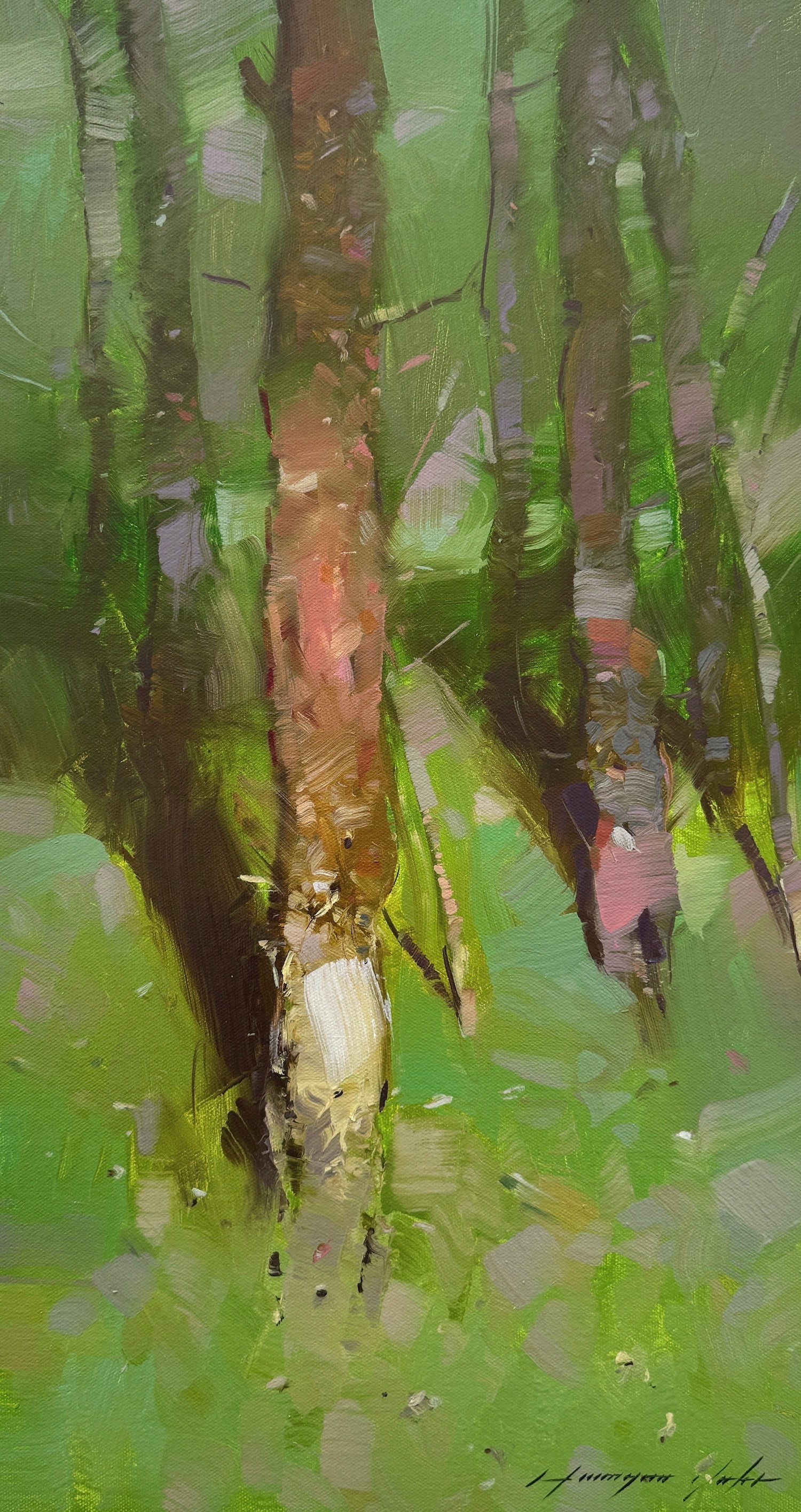 Forest Trees