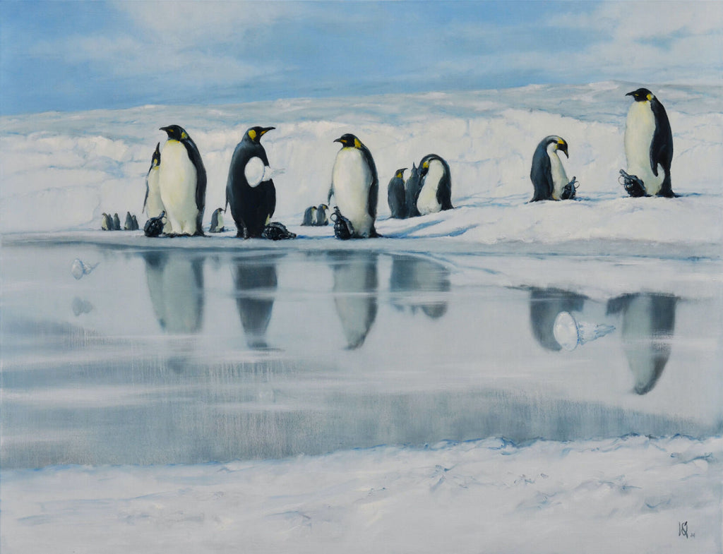 Penguin Colony