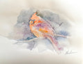Cardinal