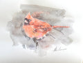 Cardinal