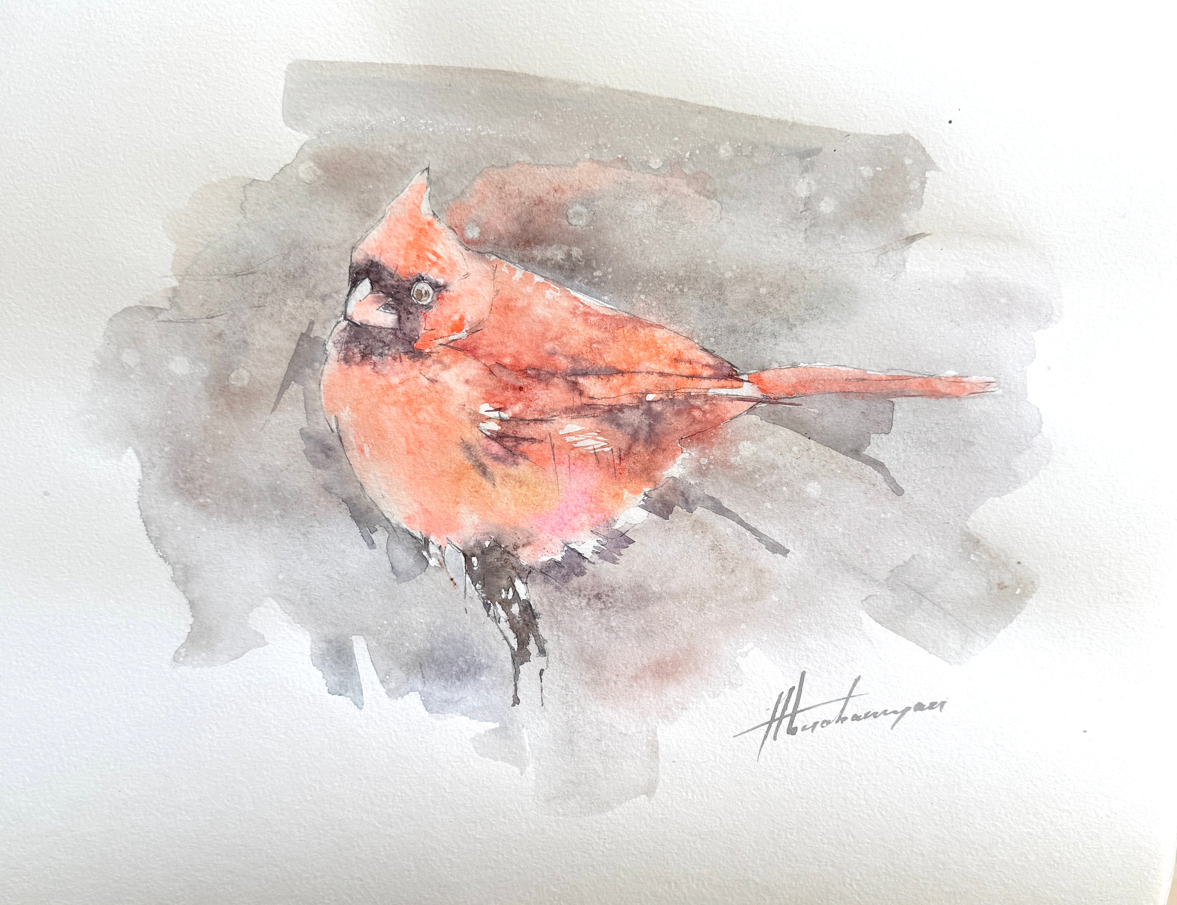 Cardinal
