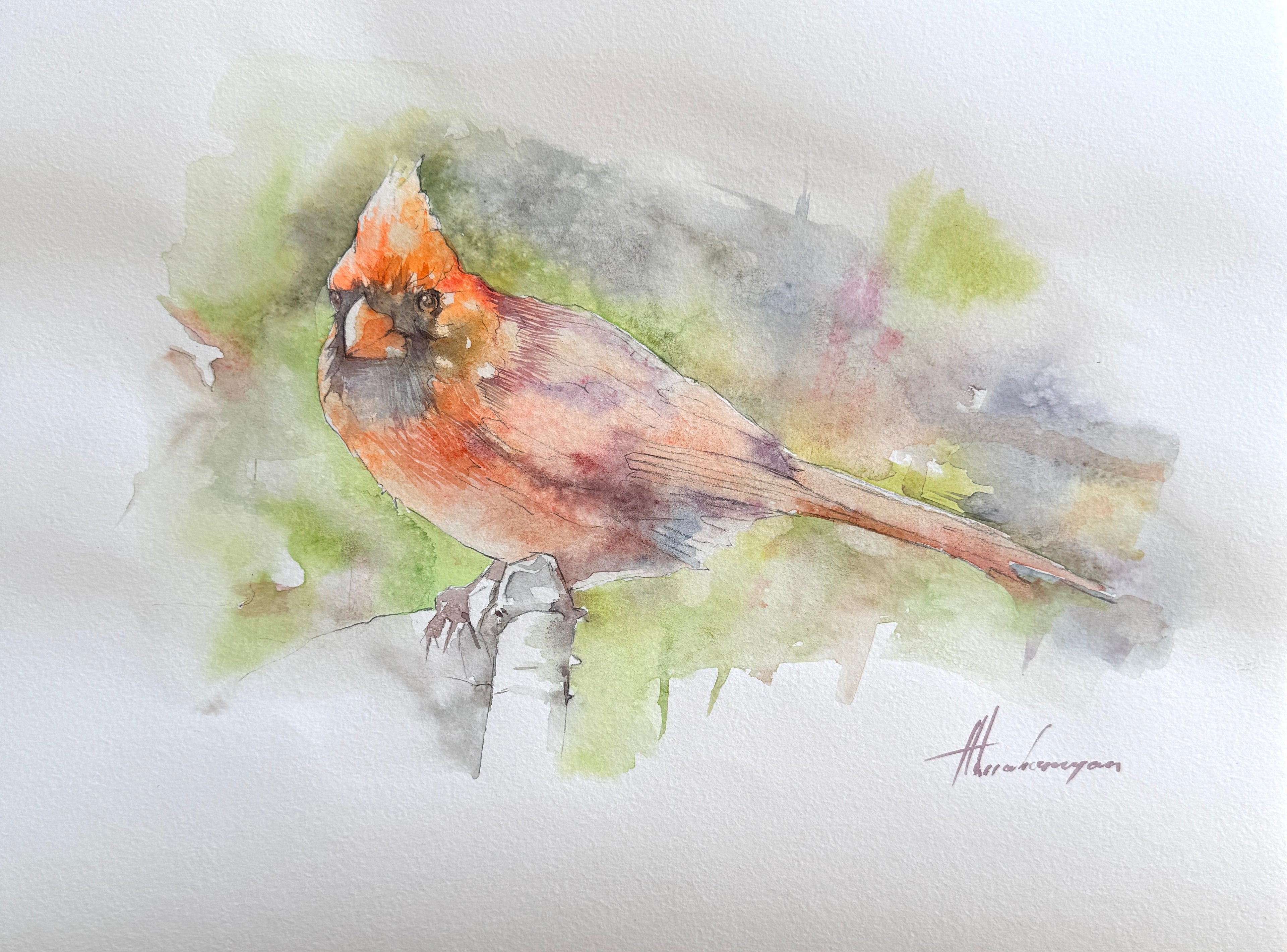 Cardinal