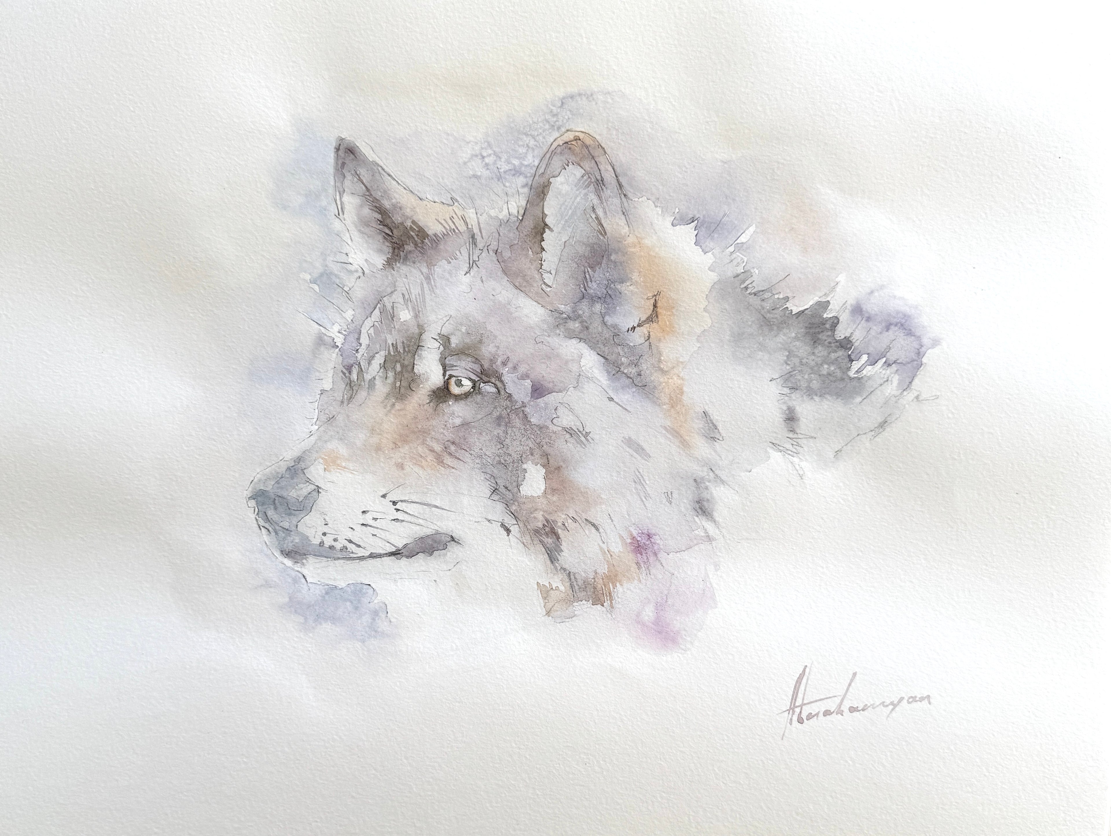 Wolf Portrait