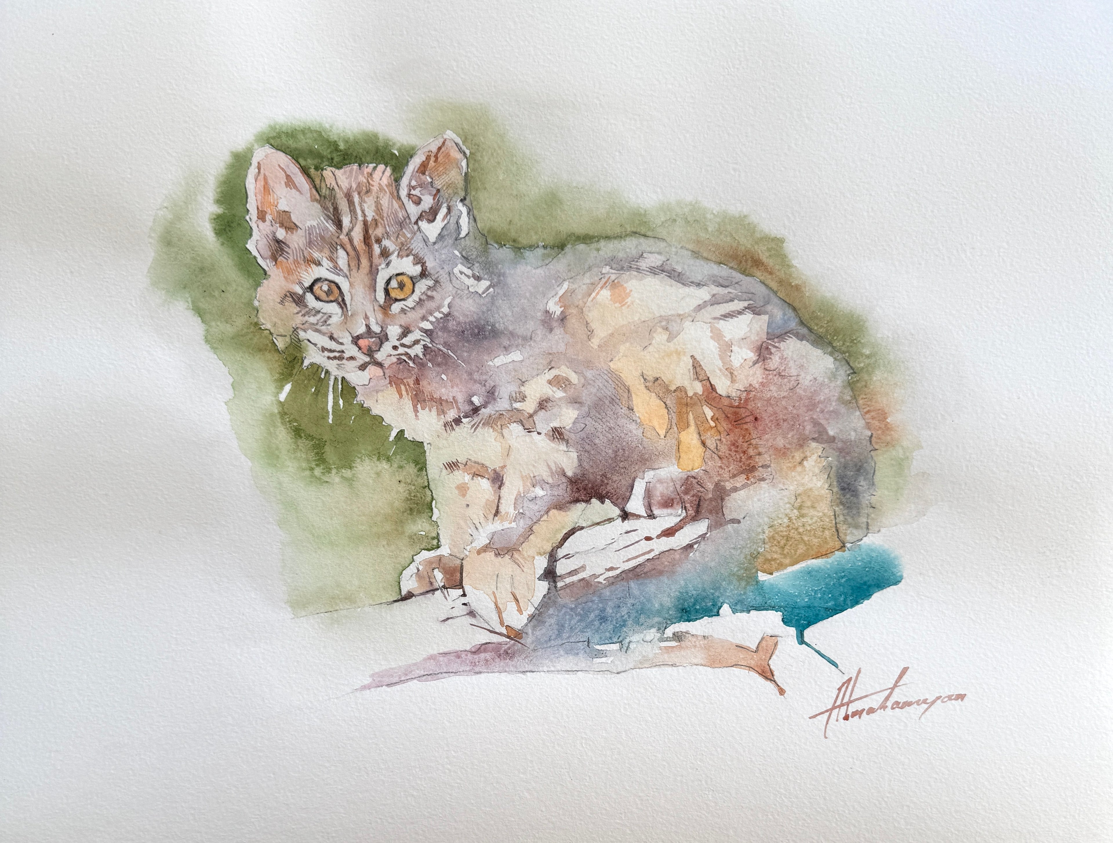 Baby Ocelot