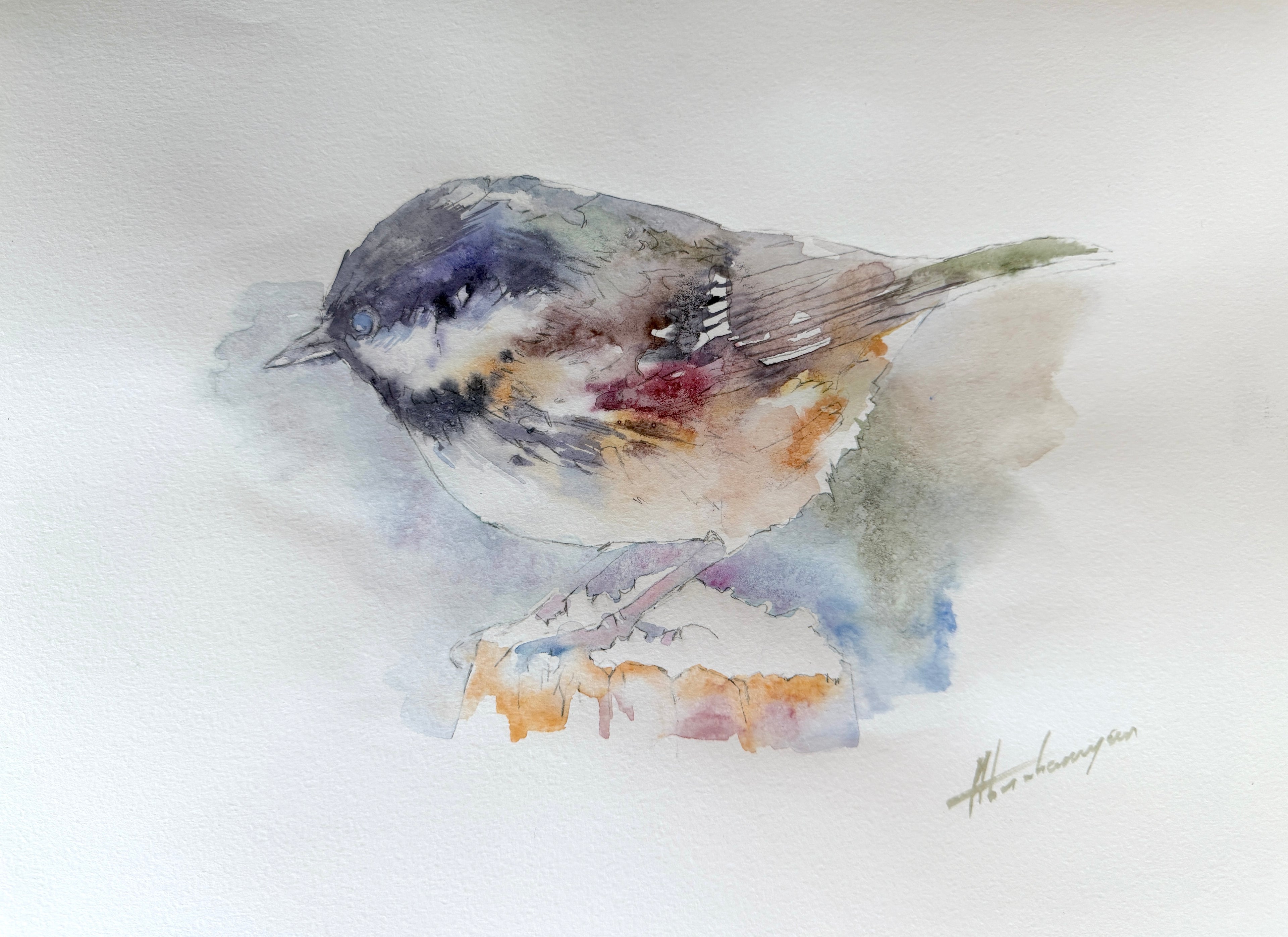 Chickadee