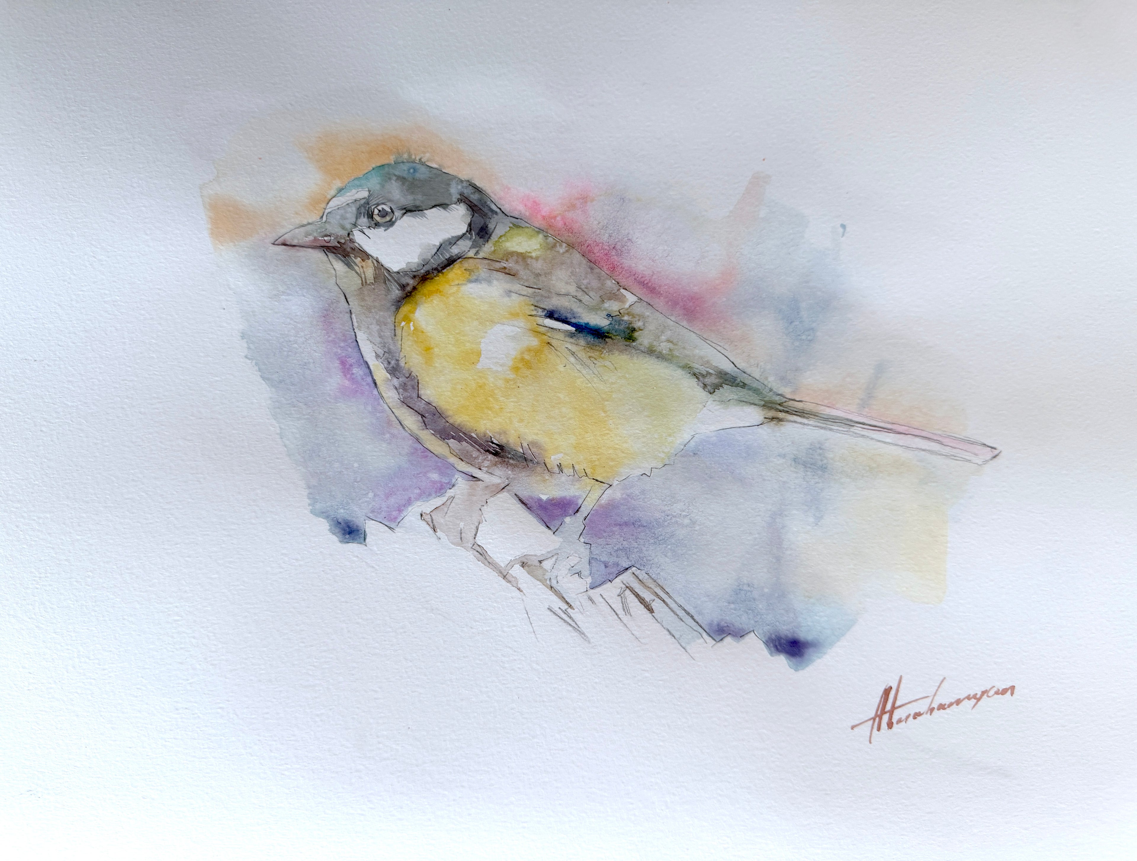 Great Tit
