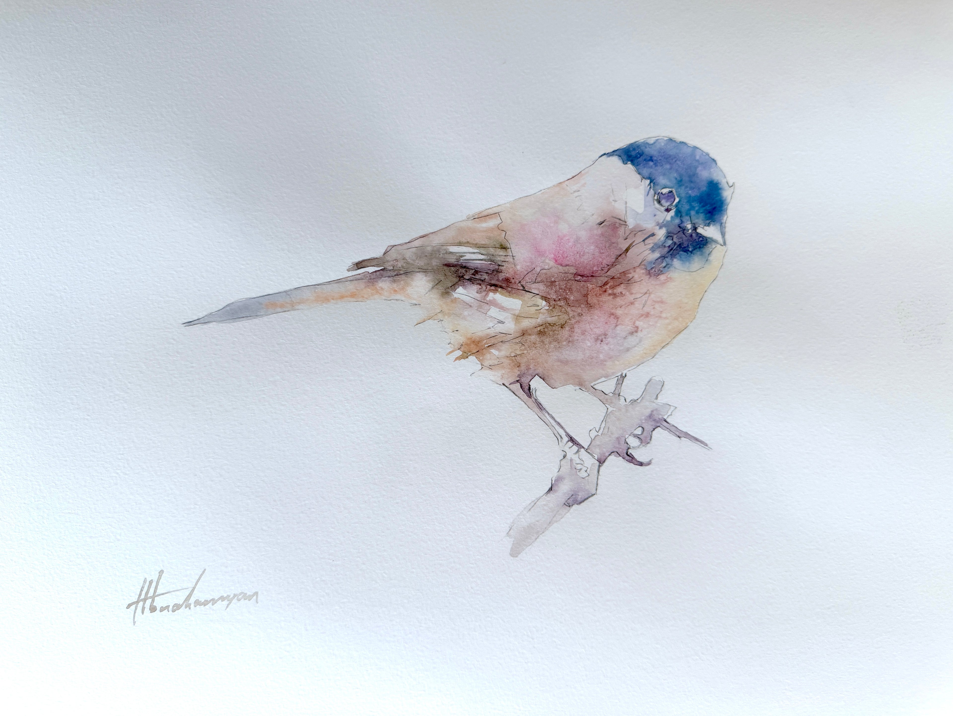 Chickadee