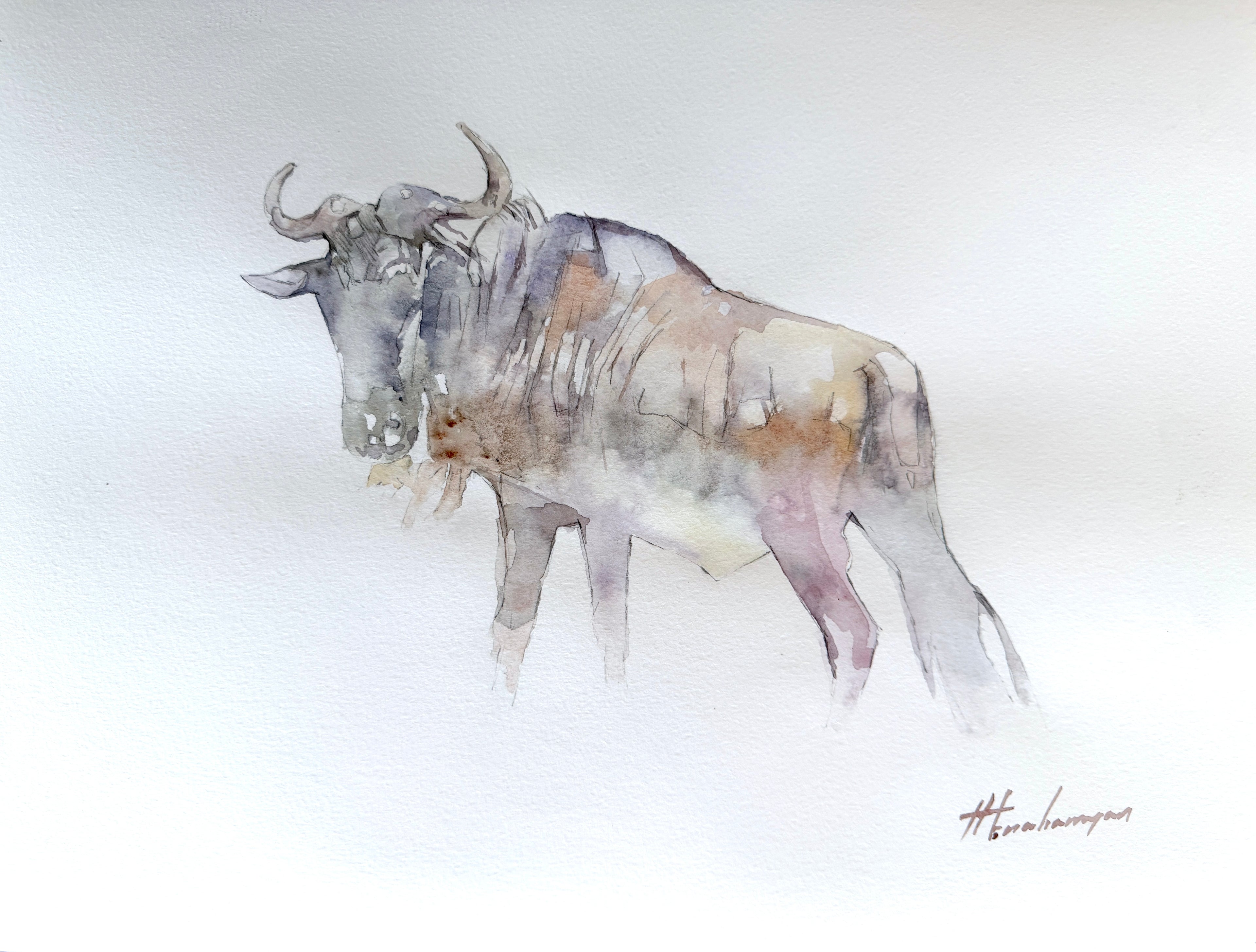 Gnu