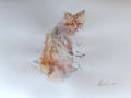 Orange Cat