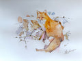 Fox