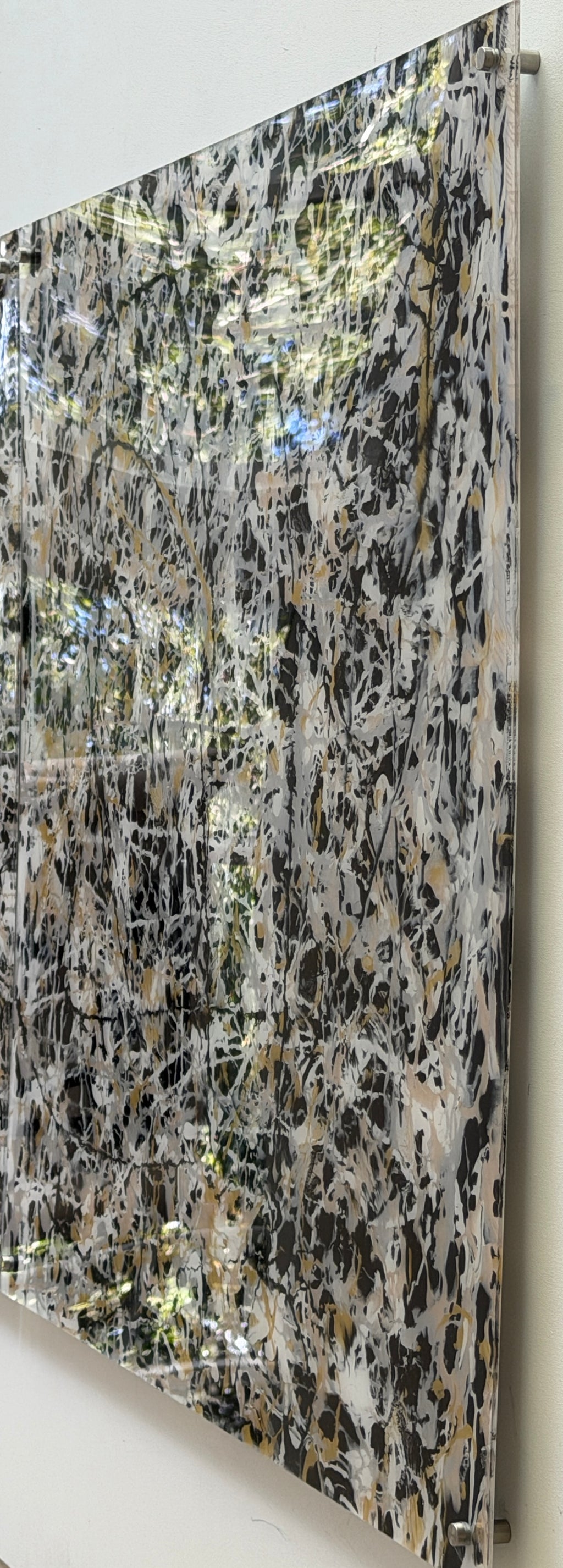 Pearl Sanskrit 5