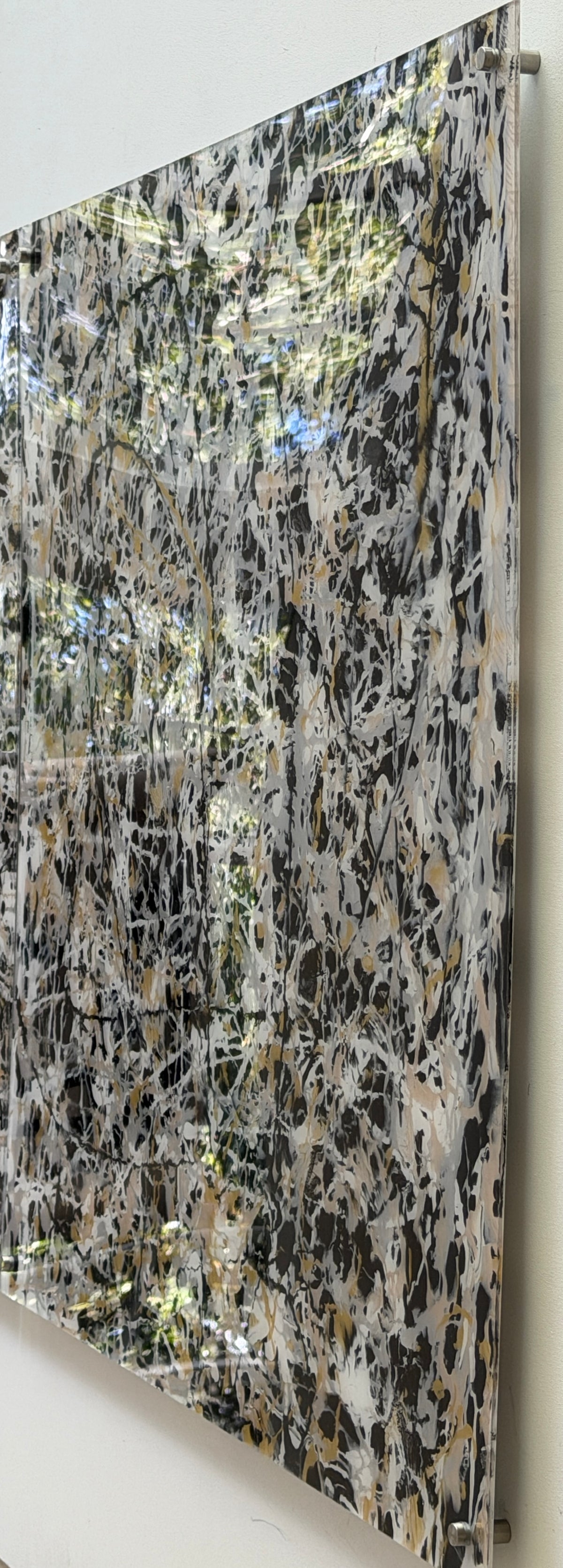 Pearl Sanskrit 5