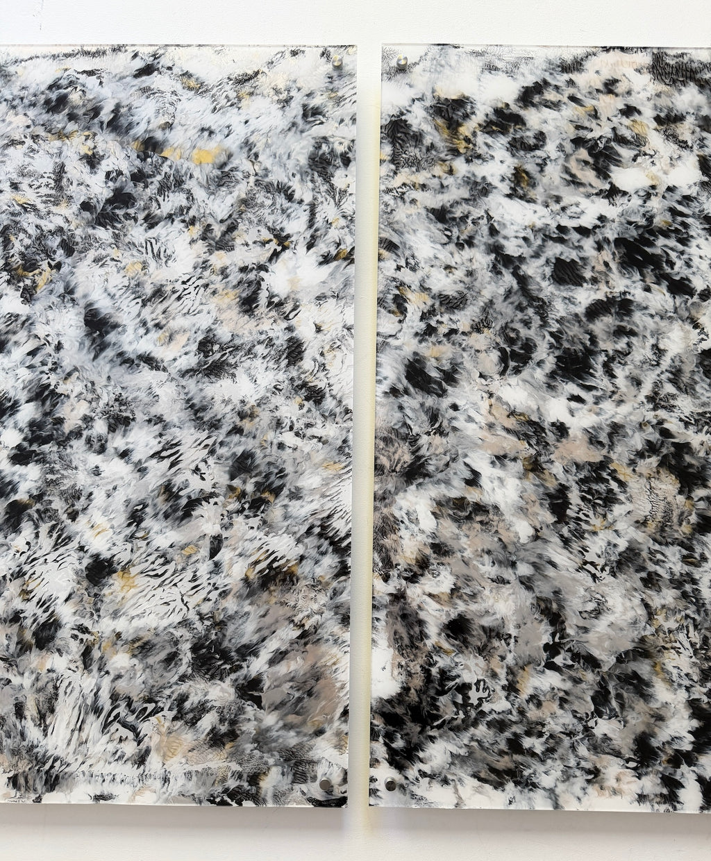 Pearl Sanskrit 8