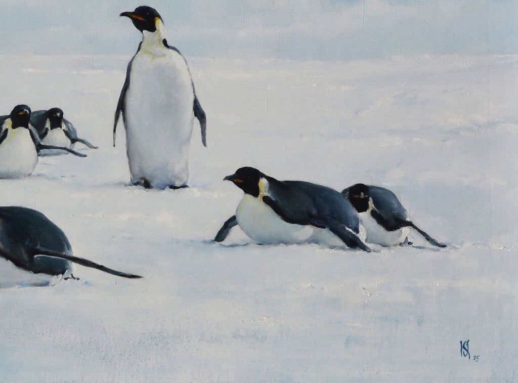 Penguins and Man