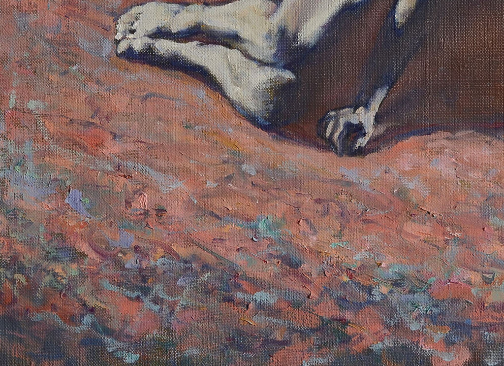 Color Dream