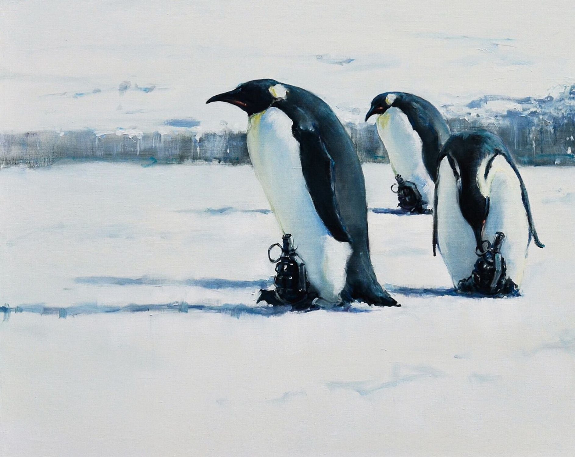 Penguin Colony