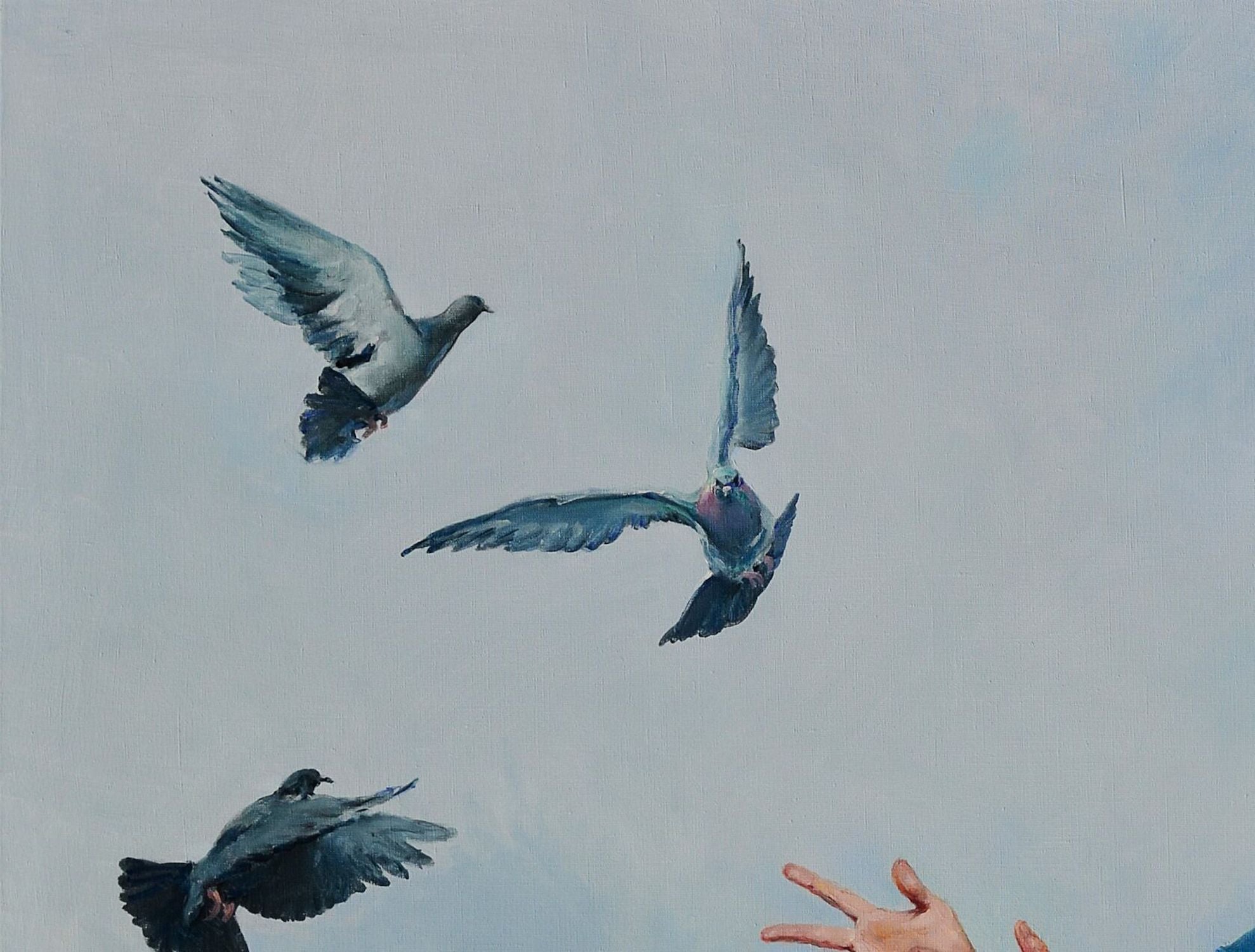 So scare a Dove
