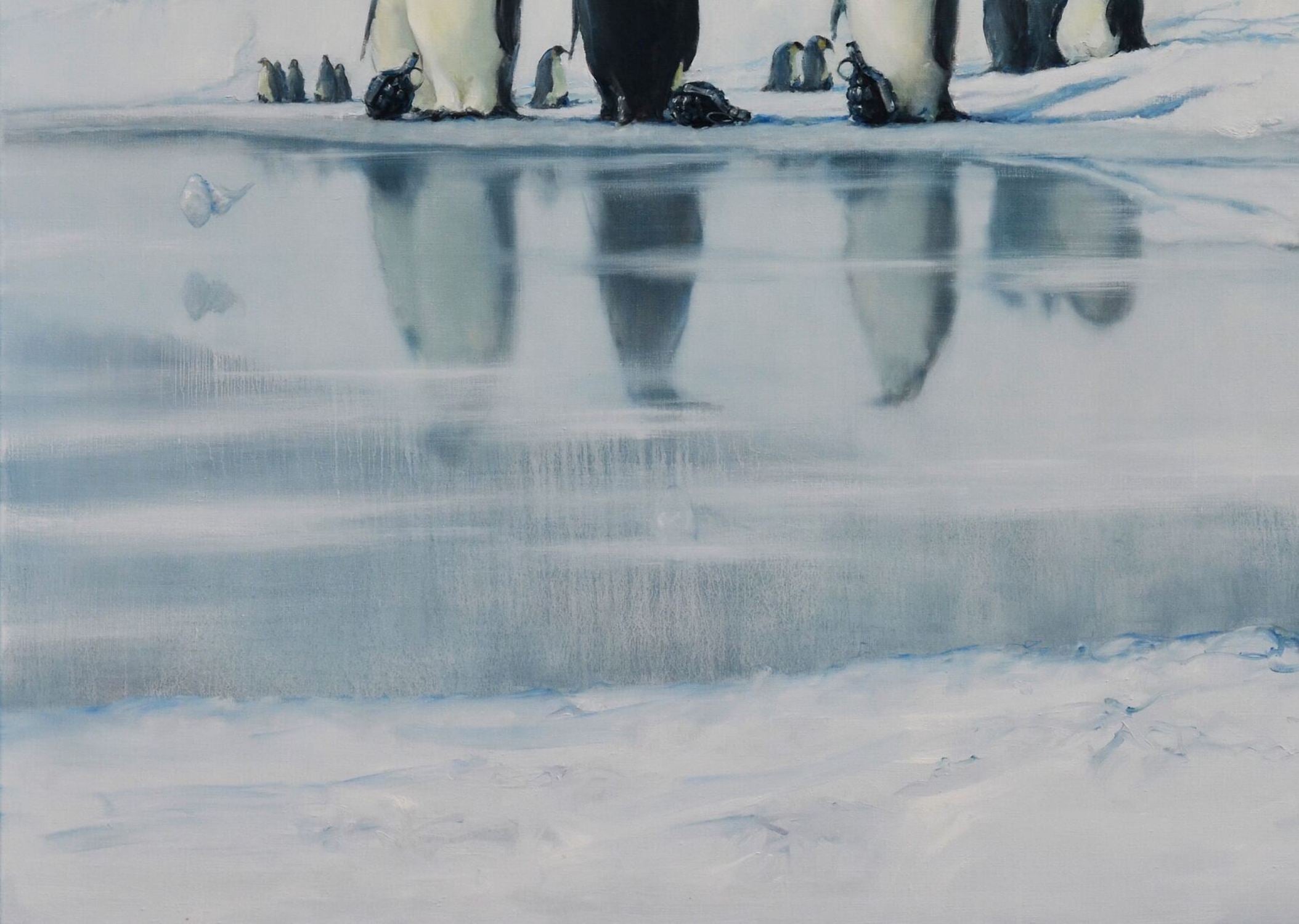 Penguin Colony